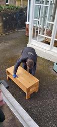 Who Provides the Best and Most Reliable Furniture Removals Inverness?